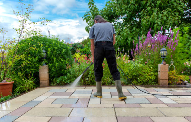 Best Driveway Pressure Washing  in Lapel, IN